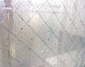 なぜカビは冬の部屋が好きなのか…窓＆寝室で大爆発中！