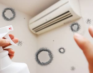 下駄箱や寝室はどう掃除？「冬のカビ」拭き取り＆除菌法