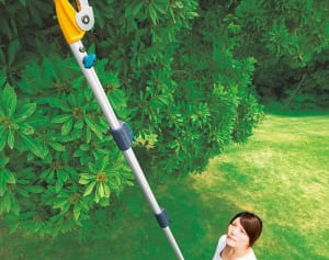 高枝切りばさみはいつから？通販ロングセラー商品ベスト6