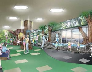 人気者カワウソ登場　来月3日から新江ノ島水族館