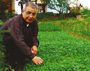 日本最西端・与那国島パクチーに熱視線　全国のファン来島、記念日制定も