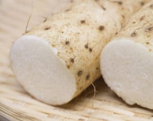 薬学博士が伝授「生活習慣病」を山芋で改善できる可能性が