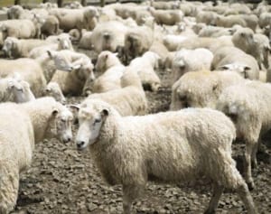 来冬も着るために…ヘビロテ「モコモコアウター」の手入れ術