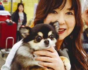 愛犬と一緒に沖縄旅行　JAL「ワンワンジェット」客室でも一緒64人33匹