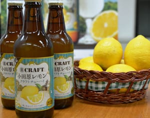 地域限定の酎ハイ　小田原産レモン果汁を使用、大手酒造会社が発売へ