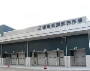 冷凍マグロ、日本初の専用市場　三崎漁港に開設へ