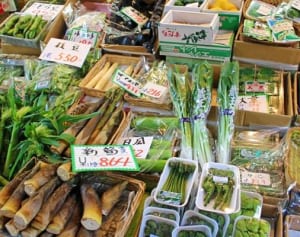 下処理ゼロで栄養面も〇！「春の山菜」はなぜ体にいいのか？