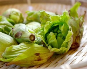春の山菜「ふきのとう」の食べ方…長期保存は“ふき味噌”で！