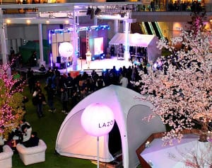 桜をイメージ　川崎、ラゾーナでリニューアルを記念しイルミネーション