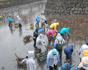 城の堀の水、抜いてみたら　小田原城址公園