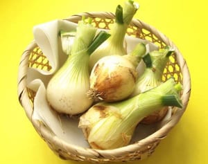水にさらすと栄養ダダ漏れ！「新玉ねぎ」の効果的な食べ方