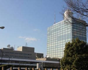 佐藤夕美子が「半分、青い。」出演　20年ぶり朝ドラ懐かしむ声