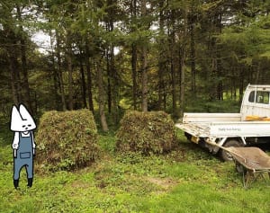 バイオダイナミック農法ってなんだ？一番古い有機農法を知ろう