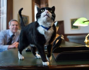 政界、美術界…各国の業界の“中心”にはこんなねこがいた！