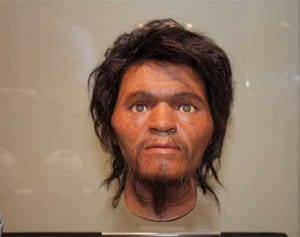 2万7千年前の男性の顔はどんな顔？　石垣島白保の旧石器人、復顔が完成　東京の国立科学博物館で展示