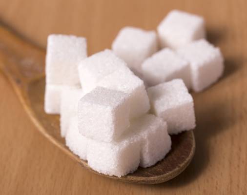 マウス実験が明かした「糖質制限の危険」に専門家が反論
