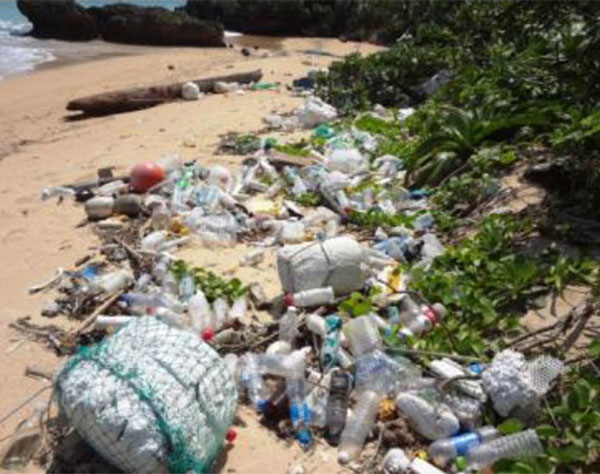 海外から有害漂着ごみ、生態系に危機　沖縄離島、深刻な状態