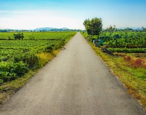 鉄腕DASH全国謝罪ロケを！新生TOKIOが下す再起への決断