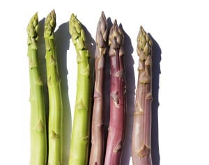 アスパラ占いは超当たる!?人に話したくなるアスパラガスの小話