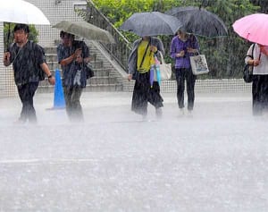 やっと雨が降った　「空梅雨」の沖縄に久しぶりの雨