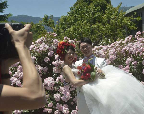 バラに囲まれ結婚写真　小田原フラワーガーデンが撮影企画