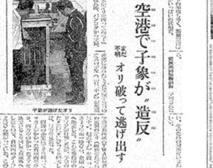 45年前の「ゾウ失踪事件」の謎、追ってみた。→沖縄の「かわいそうなぞう」だった。