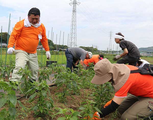 「農福連携」進む横須賀　障害者の雇用促進、地域活性期待