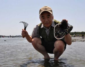 アサリなぜ消えた　潮干狩り名所の横浜・海の公園
