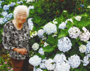 「あじさいばあちゃん」香典115万円を寄付　本部・名護