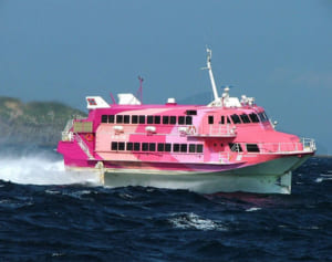 横浜港から大島へクルーズ　23日に日帰り船