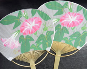 鎌倉納涼うちわ、今年はアサガオ　中島千波さん描く