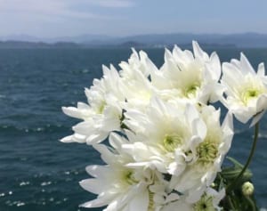 広がる「散骨」葬儀に蛭子能収は「簡略化されることは何より」