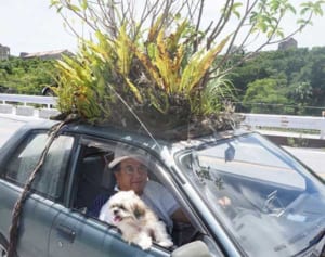 ジャングルカーもらいませんか？　知念さん、引き取り手募集