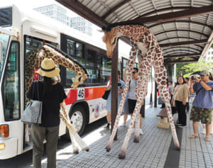 逃げたキリン？　実は人間　りっかフェスPR　長い首で闊歩する姿に那覇の街、驚きと笑顔