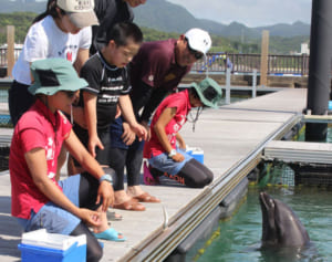 「プルート」1歳　家族連れ祝う　もとぶ元気村のイルカ