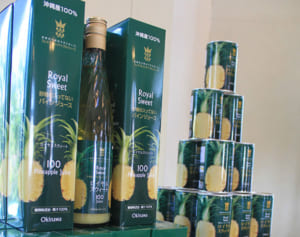 パイン缶　自然の甘み　名護パイナップルワイナリー