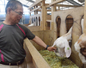 ヤギ肉普及に新食感　臭み抑制 ハーブヒージャー開発へ　五輪選手への提供目指す