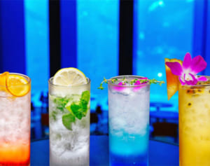 夜の美ら海水族館も楽しんで　水槽ライトアップで幻想的に　期間限定ナイトアクアリウム