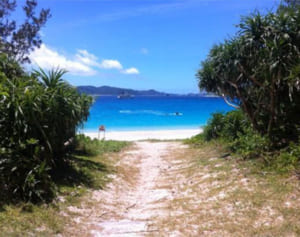 古座間味ビーチが1位に　国内ビーチトップ10　沖縄から7ビーチ、上位5位を独占