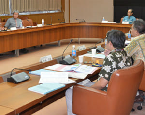 レンタカー税検討へ　沖縄県検討委員会　関係者ら議論　