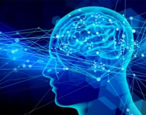 8つの“脳番地”をバランスよく鍛えれば脳は死ぬまで衰えない