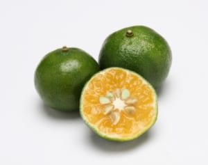 帝京大名誉教授が伝授「シークワーサーが血糖値を下げる」