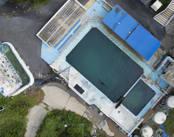 上空写真から見た“ペンギン＆イルカ取り残し”水族館の現状