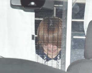 吉澤ひとみ容疑者逮捕の余波 ハロプロ研修生にも動揺広がる