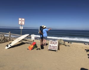 サメに殺された男性、ビーチでプロポーズする予定だった