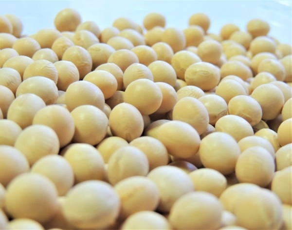 大豆、サーモン…米国から輸入する食品の安全性を専門家が問う