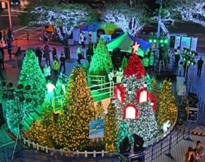 那覇の夜キラリ、今年も　イルミネーション点灯、2月まで