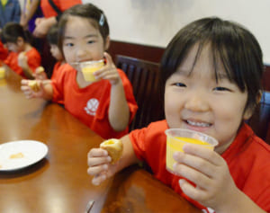 農大生が作ったマンゴープリンとパイはどんな味？　12月2日 農大祭で販売