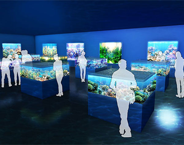 DMM水族館の内装イメージはこんな感じ　水槽60基190種展示へ　沖縄・豊見城