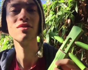 グラミー受賞者がインスタで紹介、人気に　読谷発の新楽器「サンレレ」